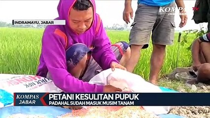 Petani Indramayu Kesulitan Pupuk