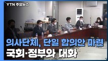 의사단체, 단일 합의안 마련...국회·정부와 대화 / YTN