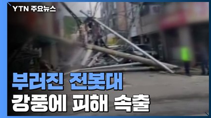 부러진 전봇대·날아온 컨테이너...'마이삭' 강풍에 피해 속출 / YTN