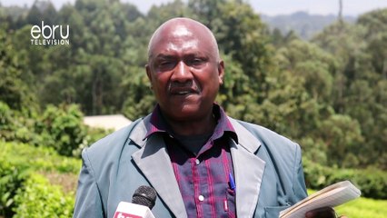 Mt Kenya Tea Farmers Want New Regulations To Be Subjected To Public Participation