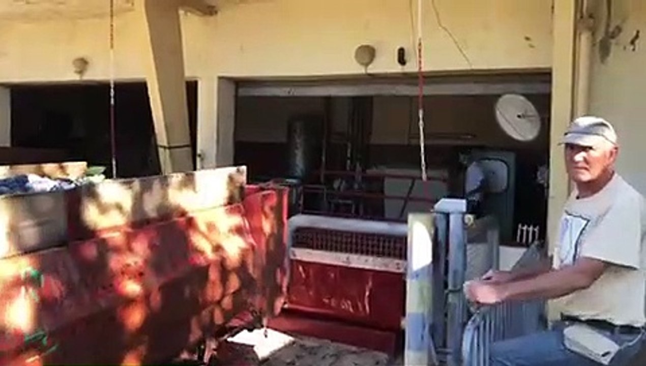 Les vendanges ont débuté à Martigues