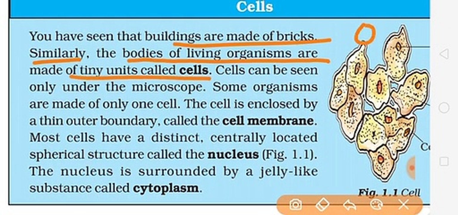 Class7th Science chapter 1 Nutrition in Plants part 1_1