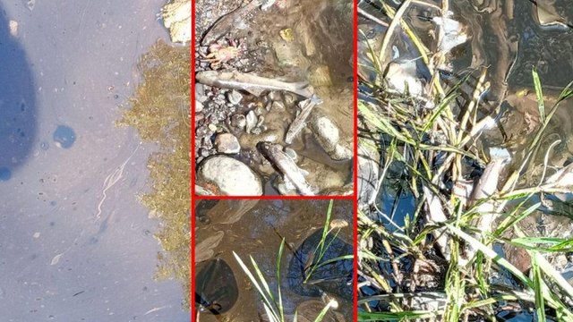 Ankara’da içme suyunda kimyasal alarmı