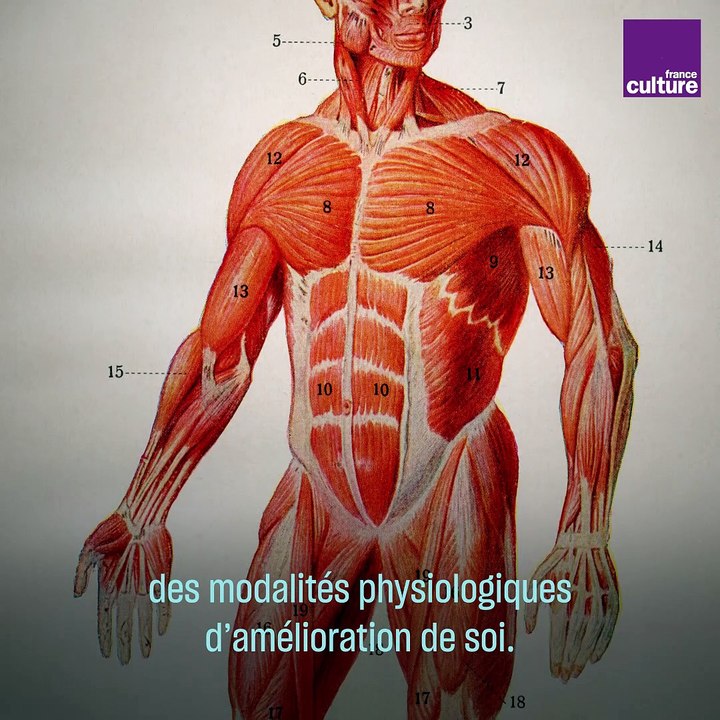 Eugen Sandow, le premier "bodybuilder"