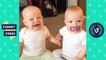 Try Not to Laugh Challenge - TWIN Babies, Tots & KIDS FAILS Compilation May June 2018 _ Funny Vines
