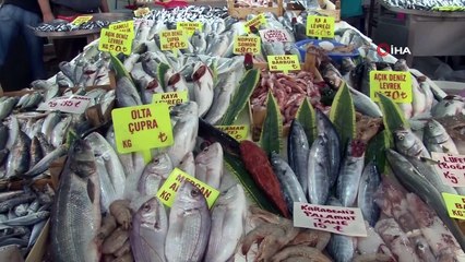 Balık halinde yeni sezon bereketi