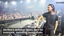 Playing This Music Could Protect You Against Mosquito Bites