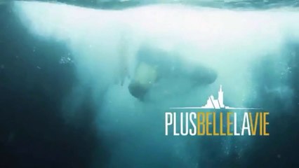 Plus belle la vie : Pour ses 16 ans, la série change de générique !