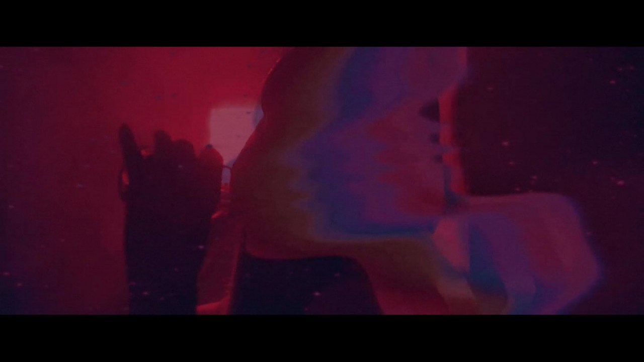 Safree - A.N.I.M.A.L
