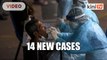 Covid-19- Malaysia reports 14 new cases