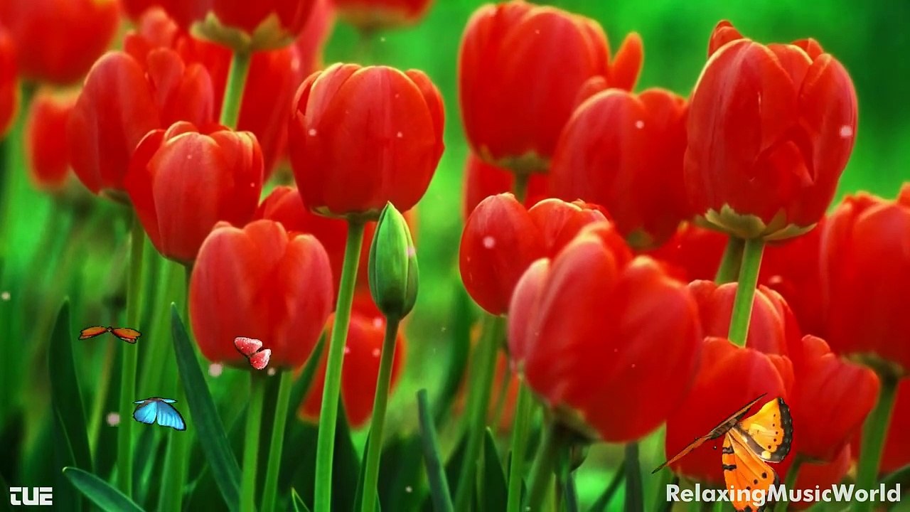 74.Keep On Loving You 容易受傷的女人 (English version) - Lyrics HD 1080p