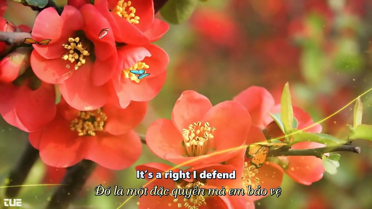 75.Yao Si Ting - Woman In Love - English Lyrics HD 1080p