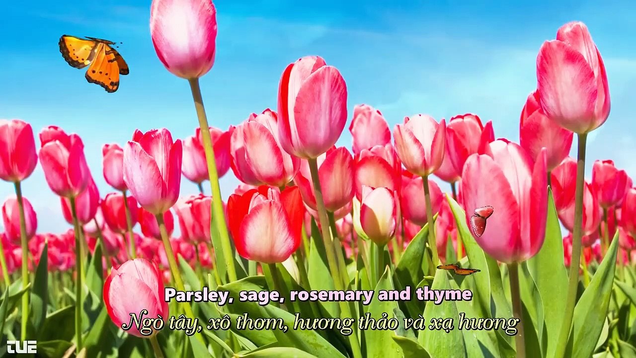 77.Yao Si Ting - Scarborough Fair - English Lyrics HD 1080p