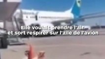 Une passagère ouvre la porte de secours et marche sur l'aile de l'avion