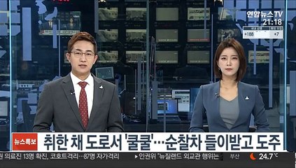 취한 채 도로서 '쿨쿨'…순찰차 들이받고 도주