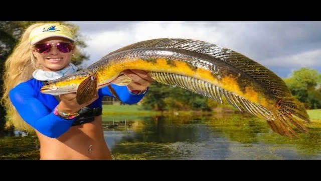 SNAKEHEAD Fish (Catch Clean Cook) Most INVASIVE Species! Deep Fried Fish Fingers!