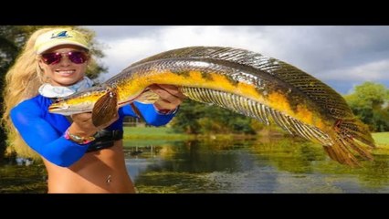 SNAKEHEAD Fish (Catch Clean Cook) Most INVASIVE Species! Deep Fried Fish Fingers!