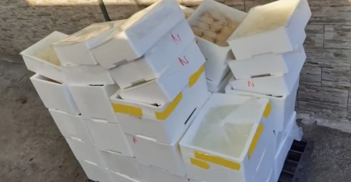 Napoli - Sequestrata una tonnellata di mozzarella non certificata (03.09.20)