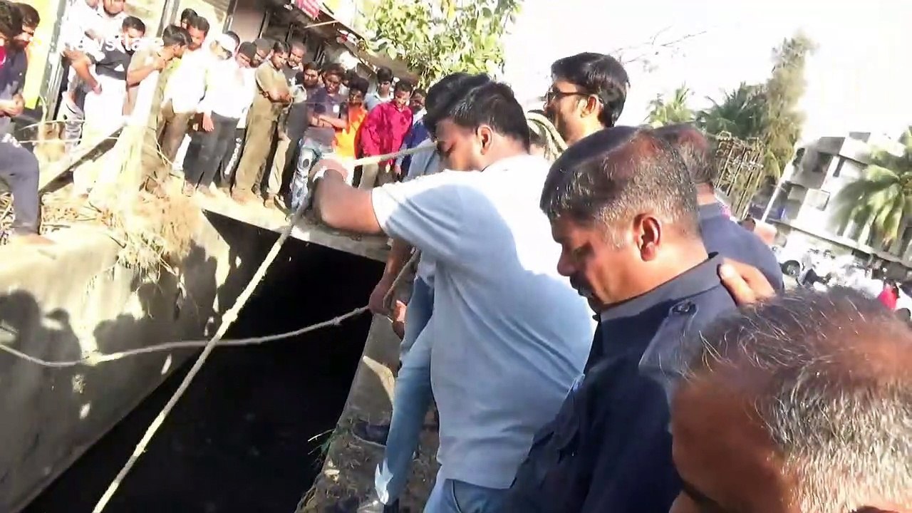 Animal rescuers lift cow out of fifteen-foot canal in central India