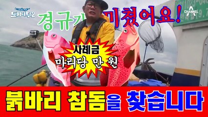 ※잡으면 만 원 빵(?)※ 자본주의 제대로 자극한 경규