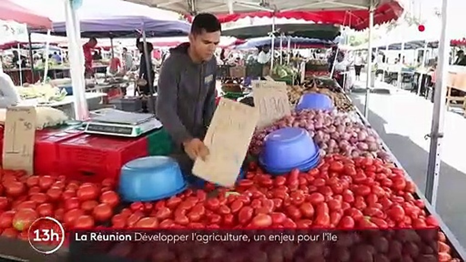 La Réunion : le défi de la souveraineté alimentaire