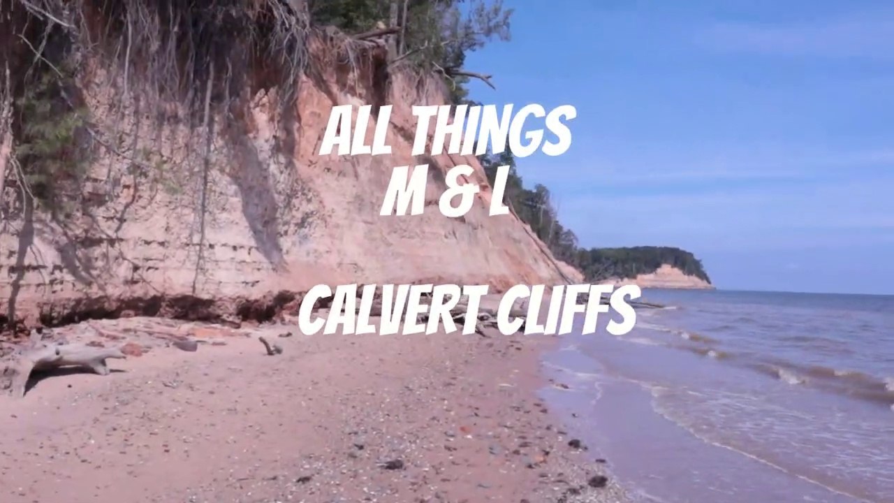 Calvert Cliffs 2020