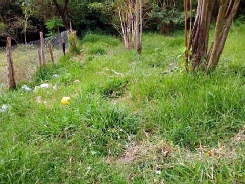 TV Votorantim - João Pedro Araújo - Moradores transformam terreno abandonado em área de lazer e horta comunitária - Edit: Werinton Kermes