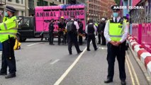 Londra'da eylemciler kamyonetle yolu kapattı
