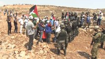 شاهد.. جنود الاحتلال يعتدون على مسن فلسطيني