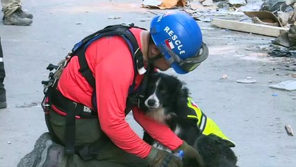 إعلان عن رصد "نبضات قلب" تحت مبنى مدمر في بيروت يحيي أملا بالعثور على شخص حي