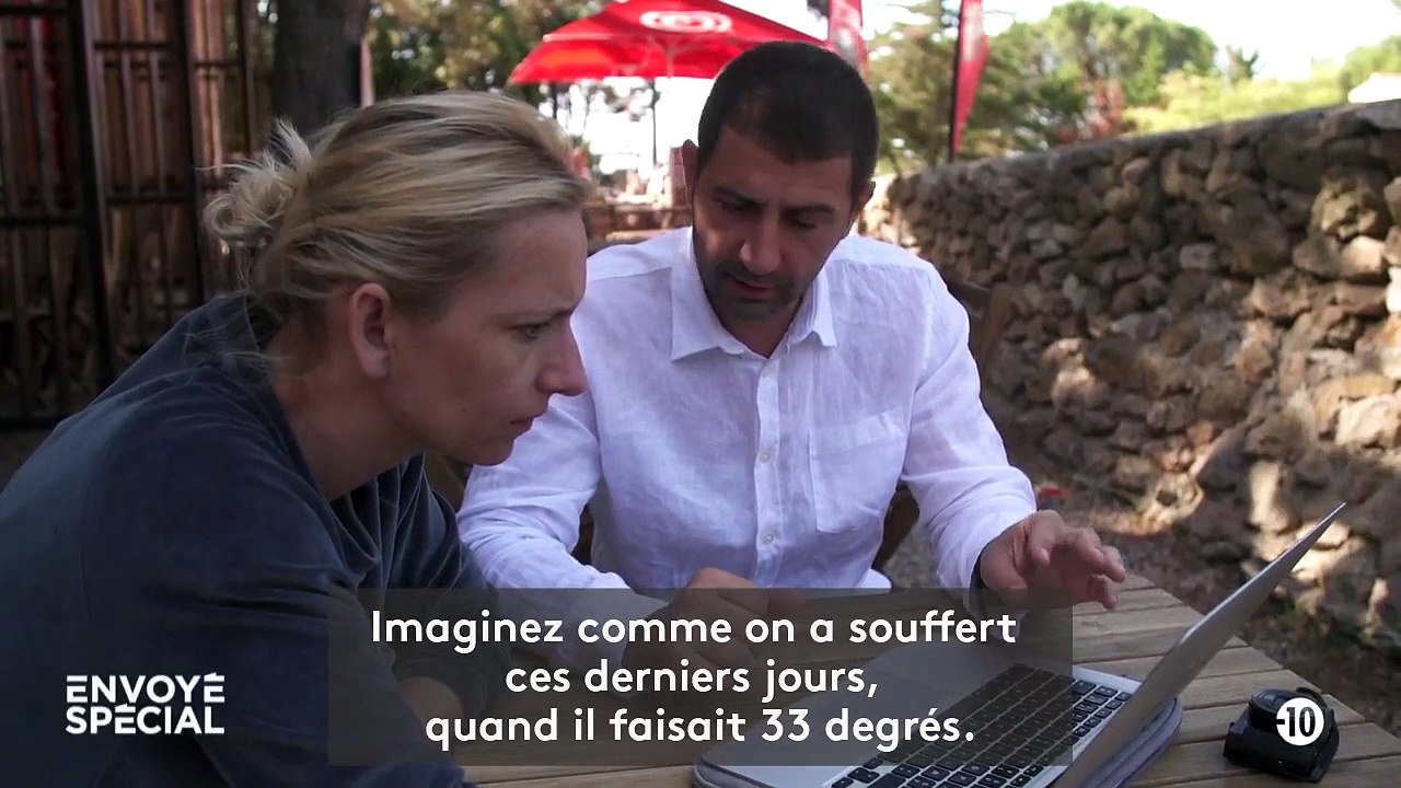 "Ils sont littéralement en train de cuire vivants" : "Envoyé spécial" enquête sur les conditions de transport parfois scandaleuses des animaux