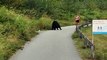Cette joggeuse arrête de courir et laisse un ours noir l’approcher sans avoir peur !