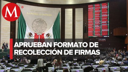 Diputados aprueban formato de recolección de firmas para consulta popular