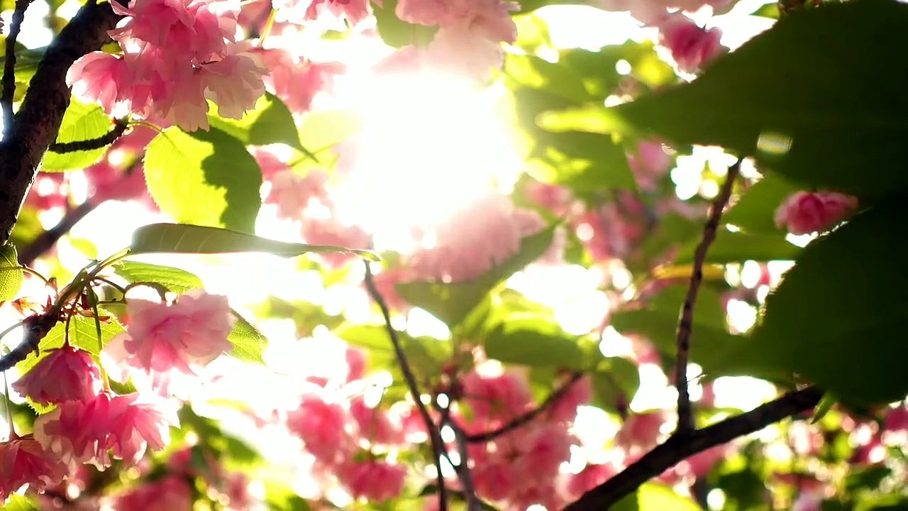 natures Beauty, Beauty of the world