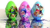 shimmer and shine Egg Surprise - Paw Patrol Egg Surprise - ninja turtles