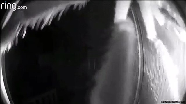 Regardez qui vient sonner à la porte... terrifiant