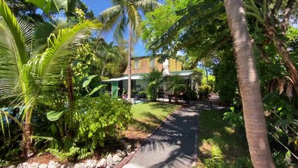 Casa de Hemingway sobrevive graças a gatos 'mutantes'