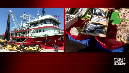 Hangi balık ne kadar?