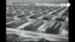 Maioria dos alemães sabia do Holocausto, aponta documentário