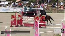 GN2020 | SO_05_Villers | Pro Elite Grand Prix (1,50 m) Grand Nat | Patrice DELAVEAU | BUGS BUNNY D'AUTHUIT*HDC