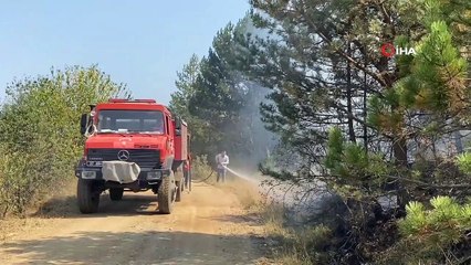Kastamonu'daki yangın rüzgarın etkisiyle yeniden gücünü artırdı