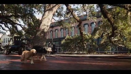 A DAMA E O VAGABUNDO Filme trailer