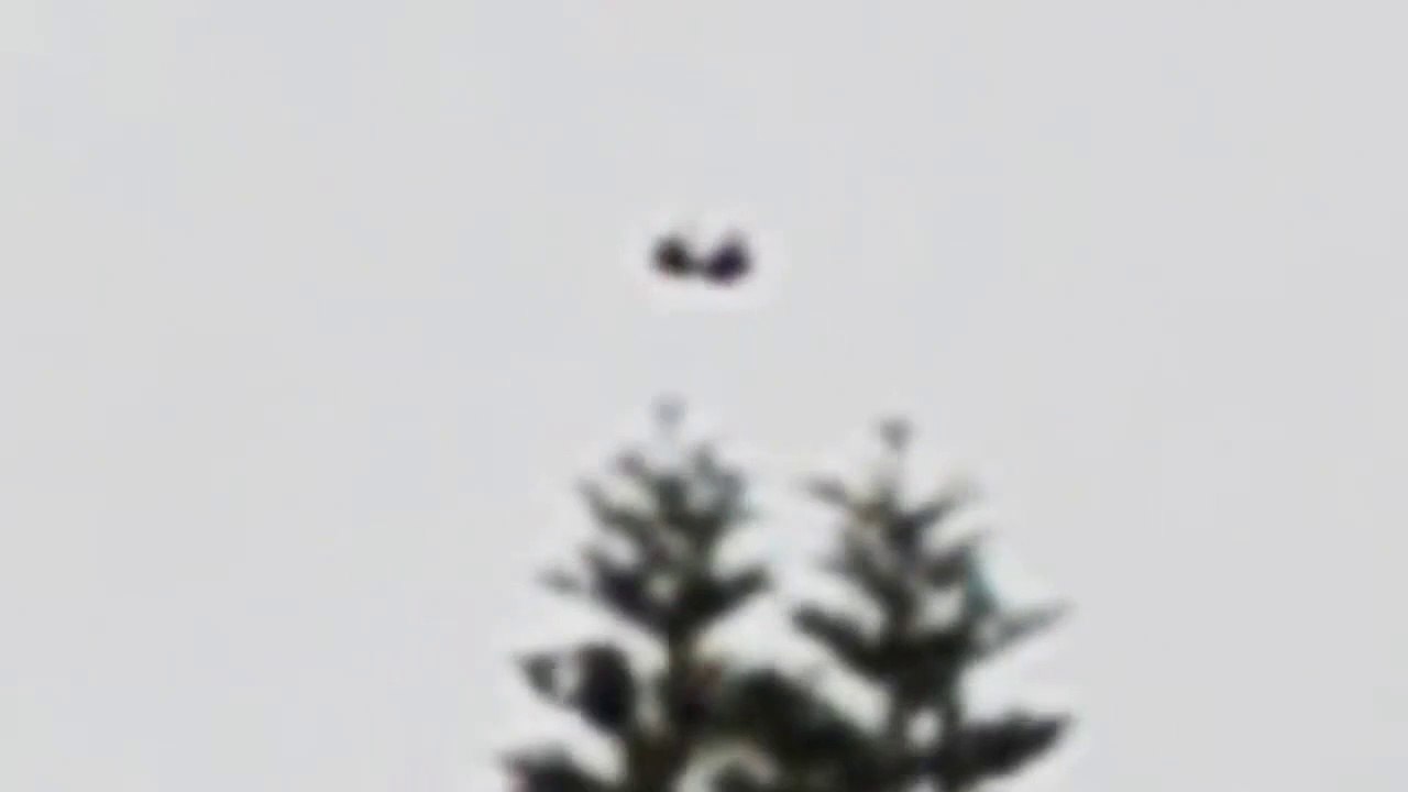 WHOA UFO Sightings! Share This Link! Arsenal Of UFOs!! Get Up And Dance! Happy Thanksgiving 2014