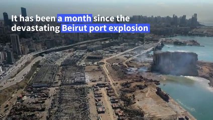 Beirut explosion: looking back one month later