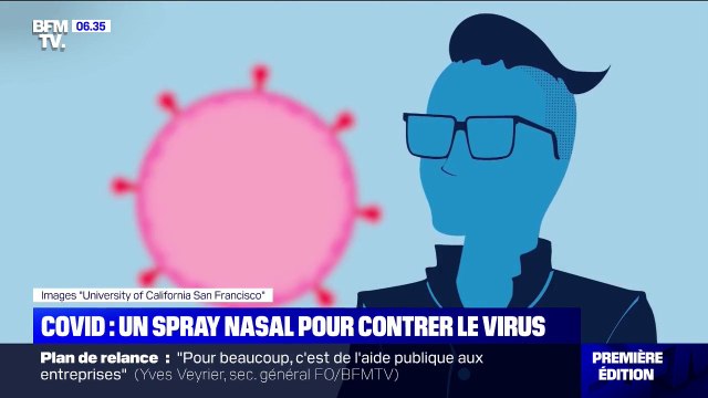 Covid-19: un spray nasal à l'étude pour neutraliser le virus