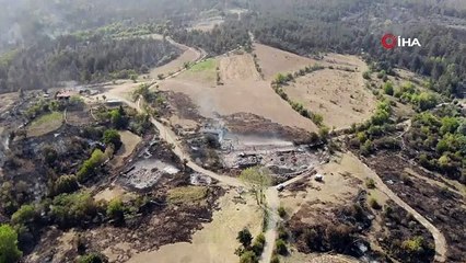 KATAMONU'NUN TAŞKÖPRÜ İLÇESİNDE ORMAN YANGINI