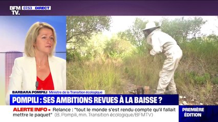 Barbara Pompili: "90% des néonicotinoïdes sont interdits mais on a un problème sur les betteraves"