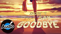 王鑫凱【Don’t Say Goodbye】Official Lyric Video