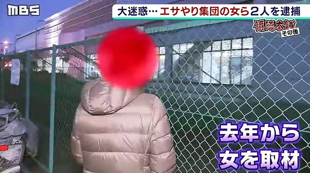 長年続く『ハトのエサやり問題』エサやり女が水盗み逮捕 条例化された“掃除目的”か(動物愛誤)(經濟損害)(自然破壊)(製造車禍)(アニマルホーダー.動物囤積症.Animal Hoarding)(トキソプラズマ)(鳥インフルエンザ)(クリプトコックス症)