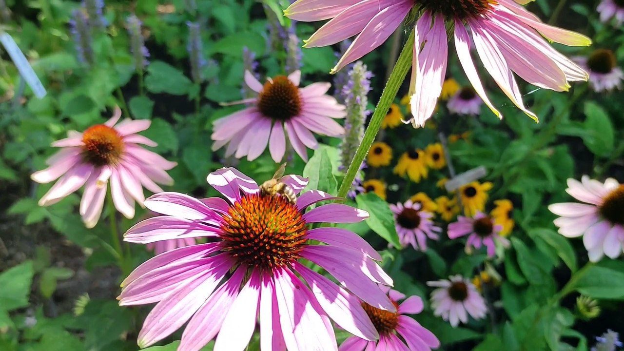 Von großen und kleinen kreisläufen